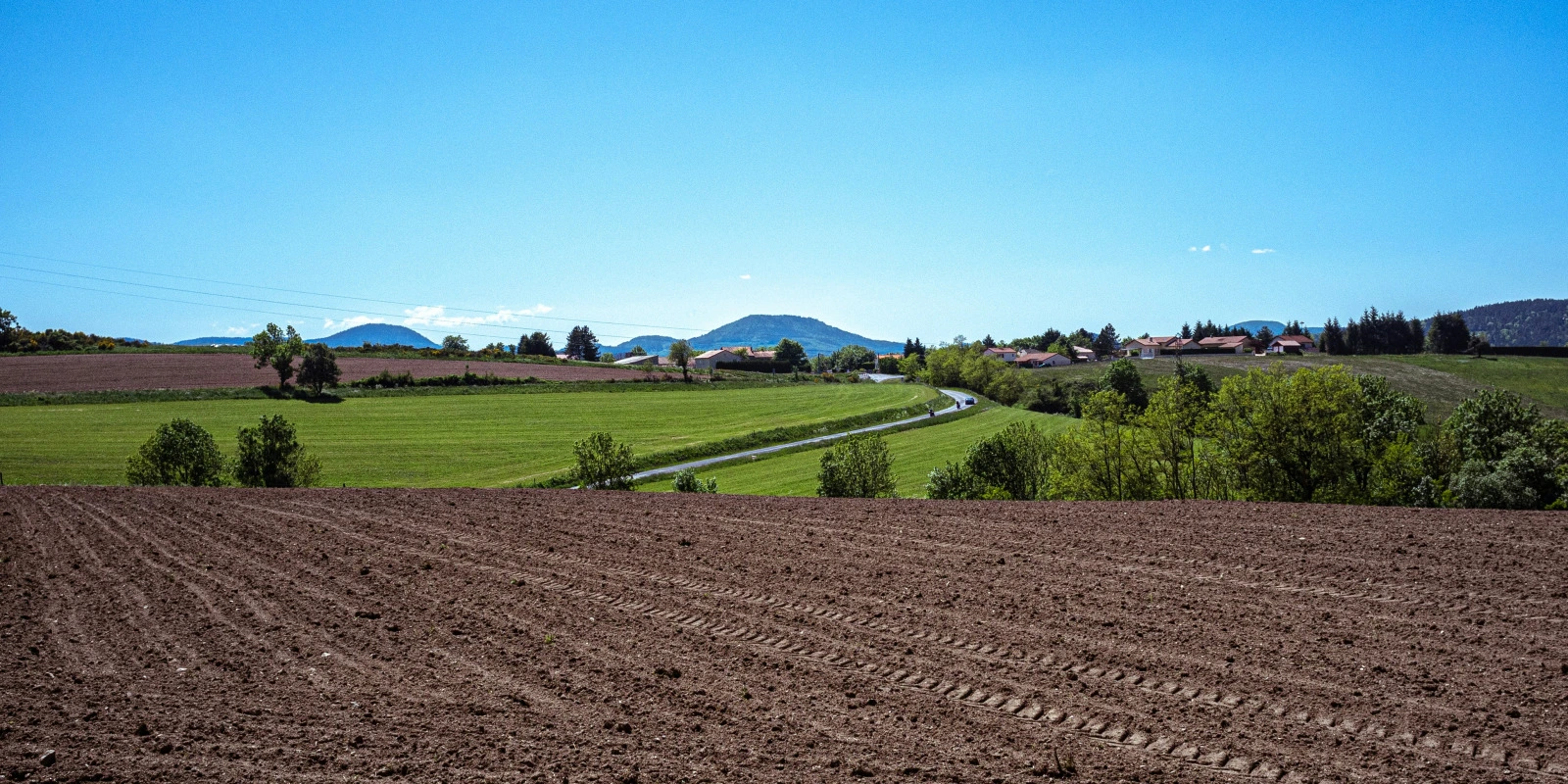 Le Droit des Affaires : Entreprises et Régulation Juridique