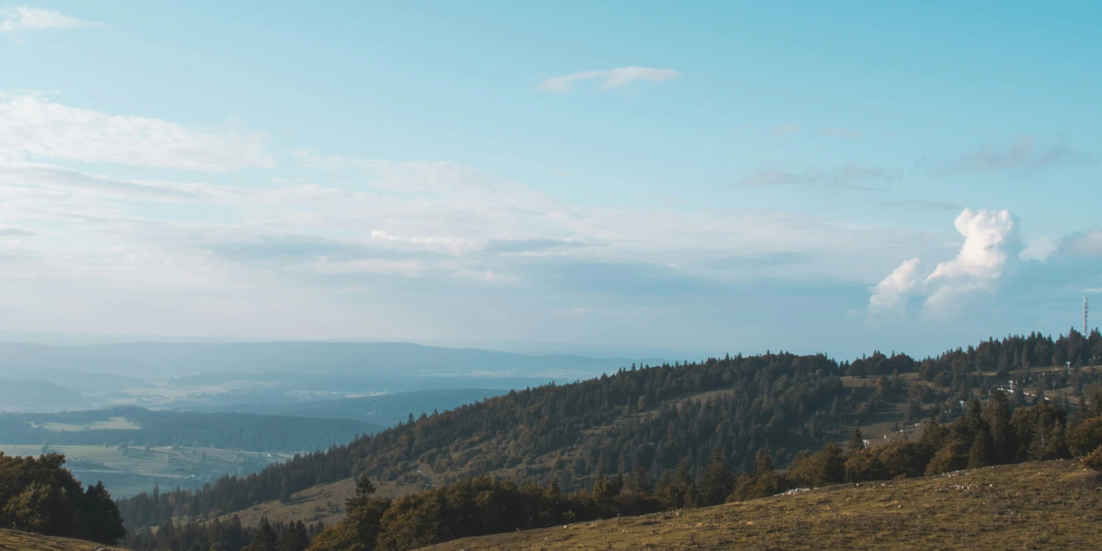 Licence Droit Économie Gestion : Programme et Avantages