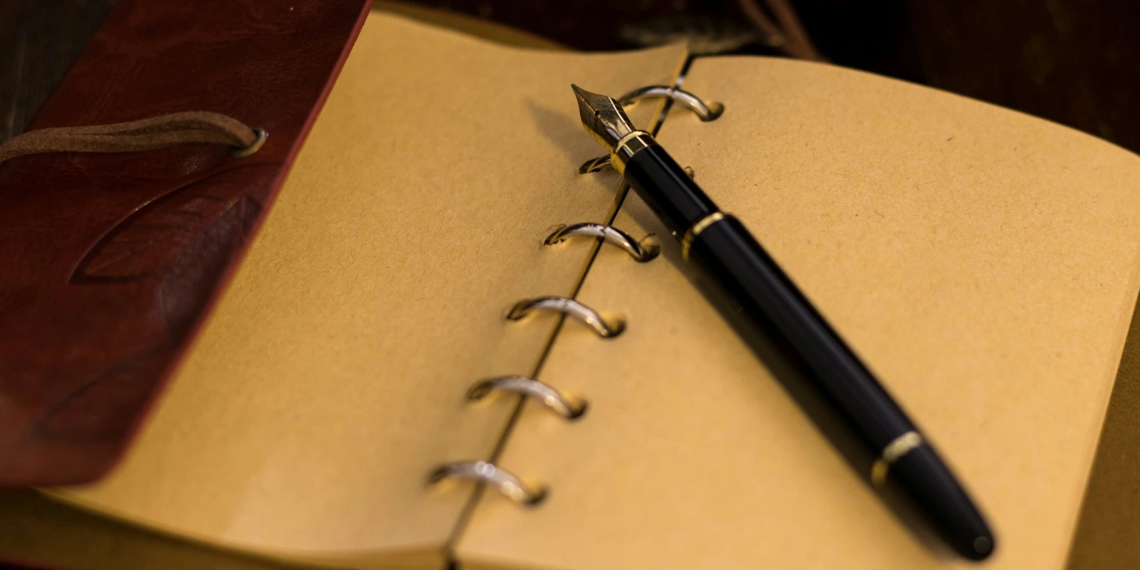 Licence Droit Lyon 3 : Un Parcours de Référence