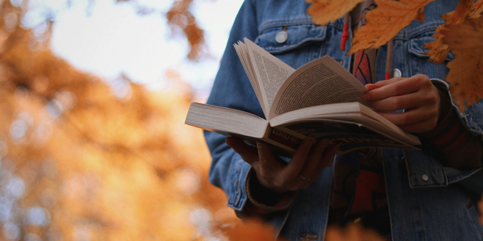 Licence Mention : Obtenir une Mention en Droit