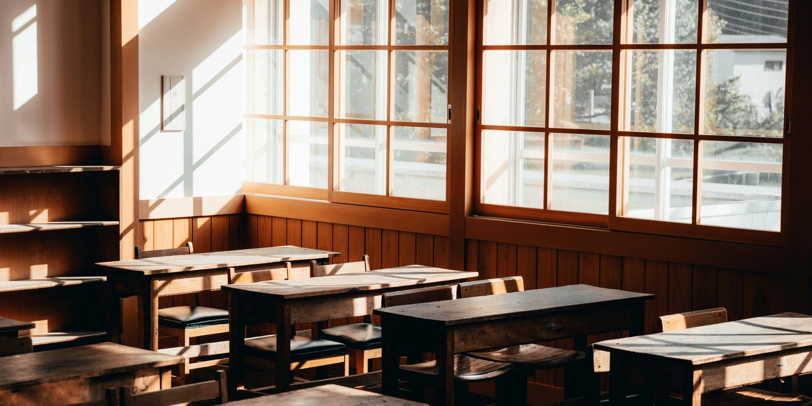 Licencié en Droit : Les Opportunités de Carrière