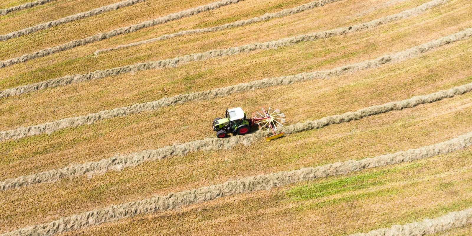 Sorbonne École de Droit : Les Programmes Proposés
